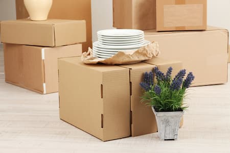 Packing Tips For Your Big Move